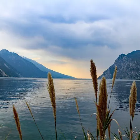 Hébergement de vacances Rustico Sul Lago Di Garda - Le Ortensie *