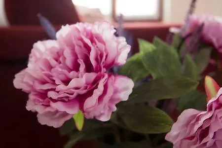 Rustico Sul Lago Di Garda - Le Ortensie *